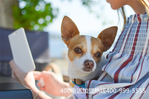 (400電話申請(qǐng)找誰)(400電話申請(qǐng)是什么)